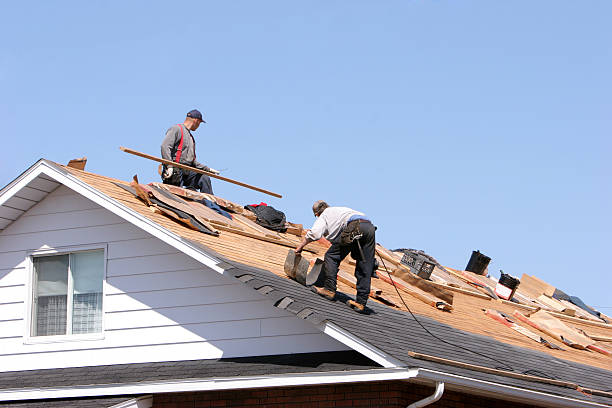 Roof Moss and Algae Removal